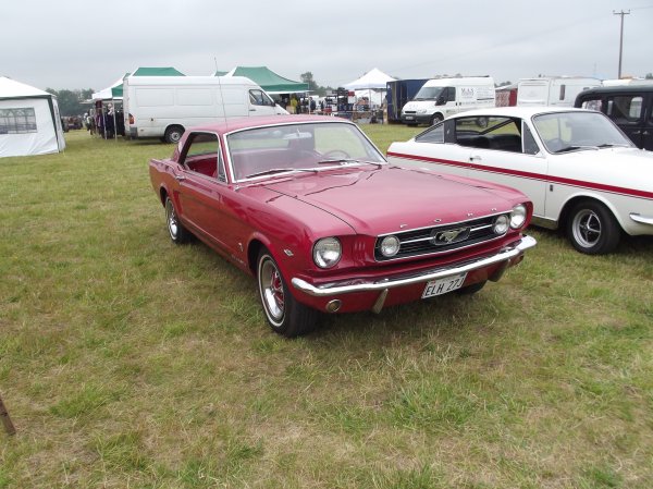 image swavesy-2013-008-jpg