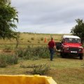 Cranford Social Weekend July