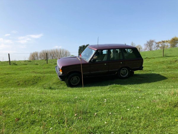 image 30167817_10157424579248696_1667941156951591101_o-jpg