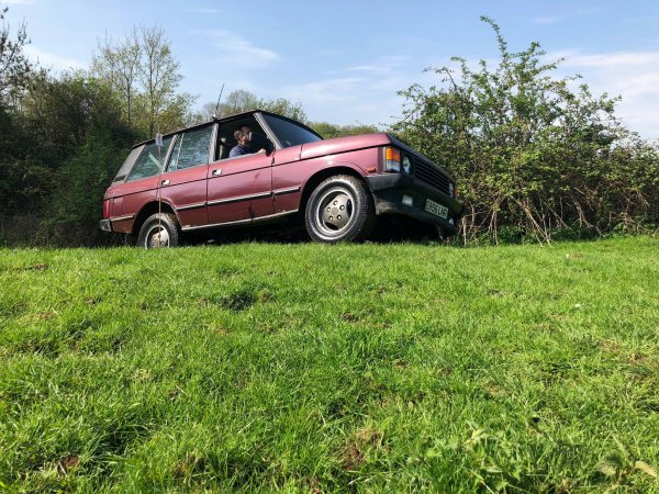 image 30167914_10157424586873696_3472505592860374521_o-jpg