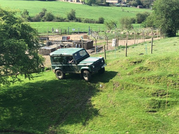 image 30171112_10157424574843696_5489580170776273265_o-jpg