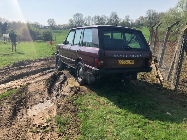 image 30171657_10157424584838696_3940954859074822476_o-jpg