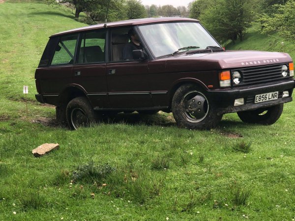 image 30171979_10157424576563696_706317756457875129_o-jpg