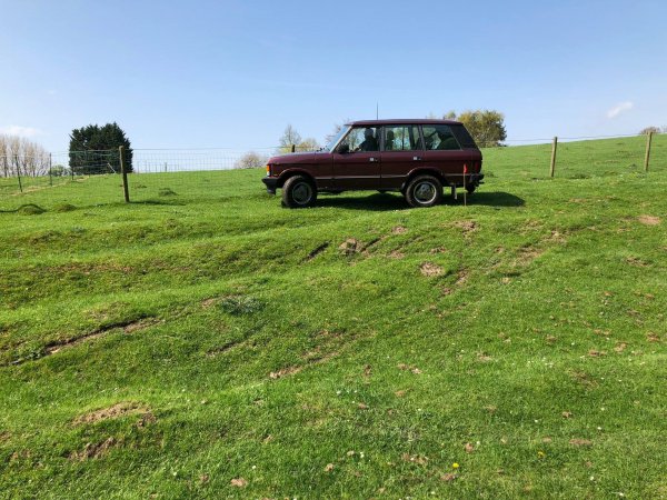 image 30420463_10157424583348696_1047134917891140612_o-jpg