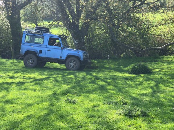 image 30425470_10157424583383696_3819408340877456841_o-jpg