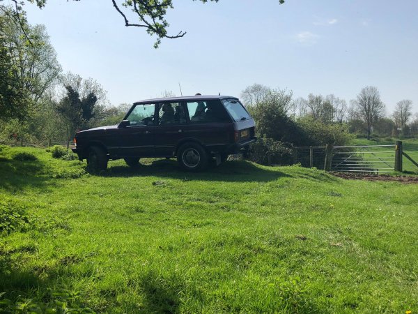 image 30806176_10157424574178696_2911283071155505968_o-jpg