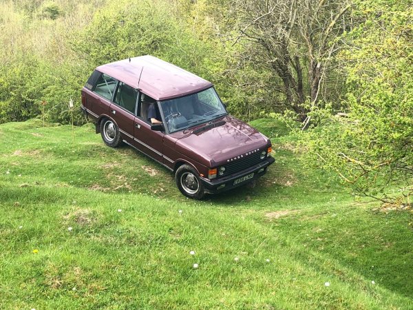 image 30815878_10157424574133696_1797821368616889253_o-jpg